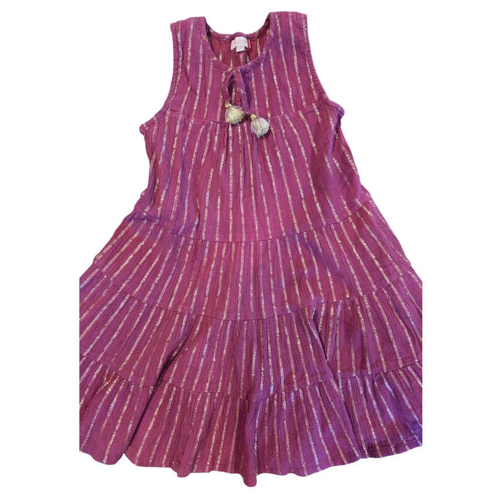 Pink Chicken Girls Tiered Metallic Stripe Tassel Dress Magenta Purple Gold 8Y